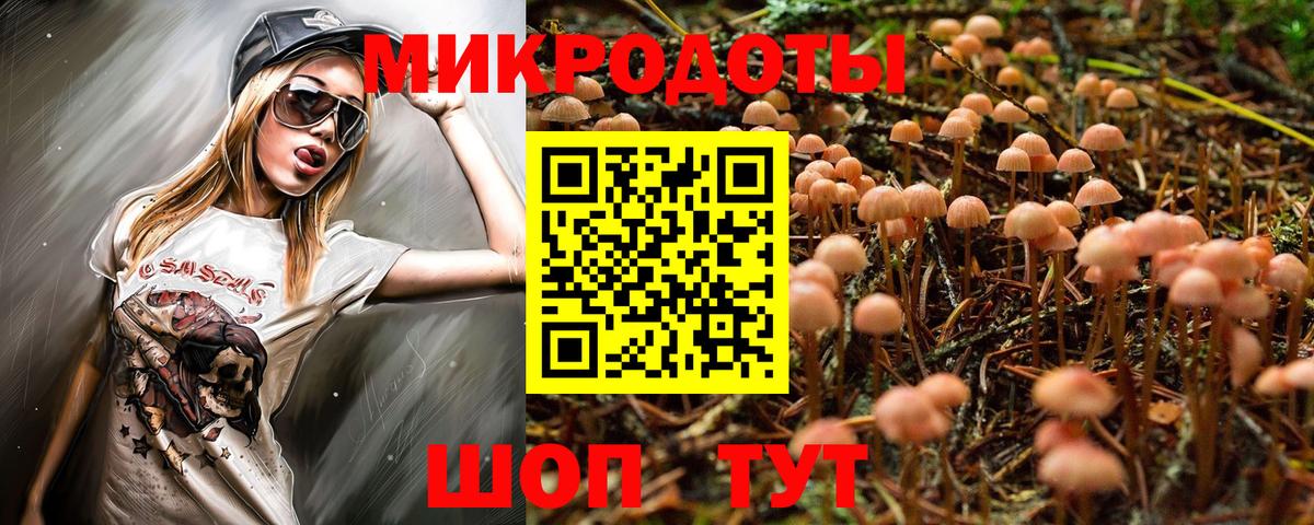 Псилоцибиновые грибы мицелий Луга