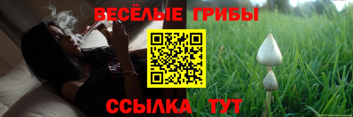Луга  Галлюциногенные грибы ЛСД  Псилоцибиновые грибы Psilocybine cubensis  Вход с VPN 